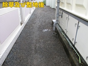 除草整地後 (2).jpg