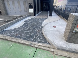 IMG_2999.jpg