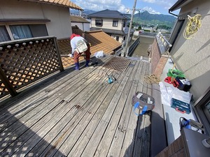 IMG_3152.jpg