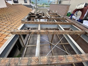 IMG_3154.jpg