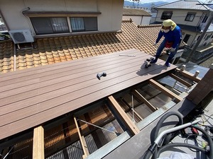IMG_3178.jpg