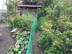IMG_3906.jpg