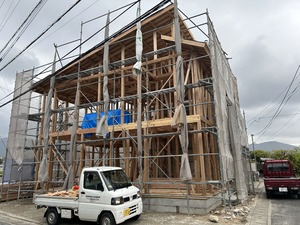 IMG_5054.JPG