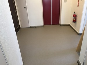 IMG_5212.jpg