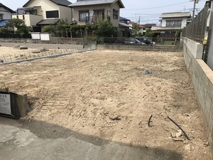 IMG_6520.jpg