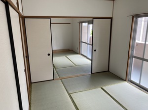 IMG_7803.JPG