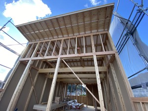 IMG_7821.JPG